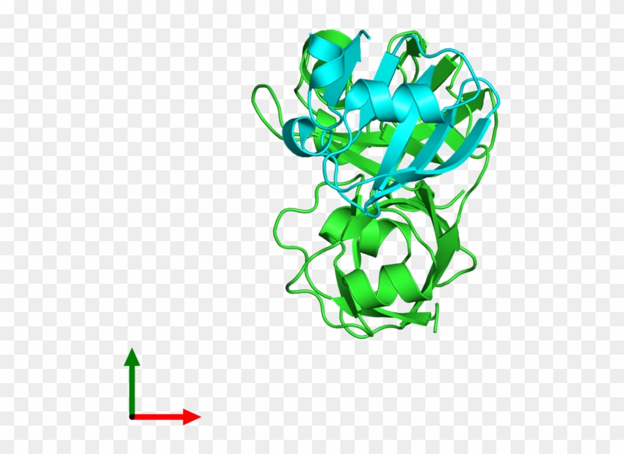 Illustration Clipart