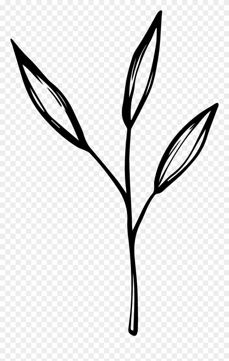 Mar 23 Natural Springs Forest Maternity Session - Papua New Guinea Clipart