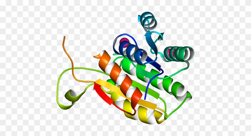 No Rotation Molmil Generated Image Of 1so8 Clipart