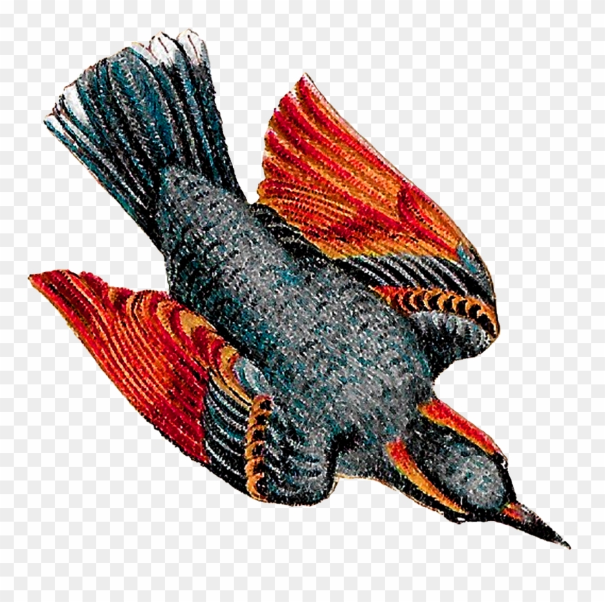 This Vintage Bird Drawing Artwork Is Very Pretty, Showing - Drawing Clipart