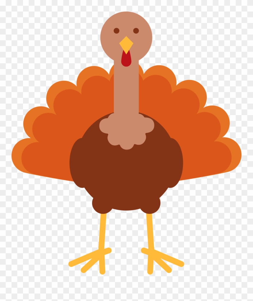 Show Slides - Ribbon Clipart