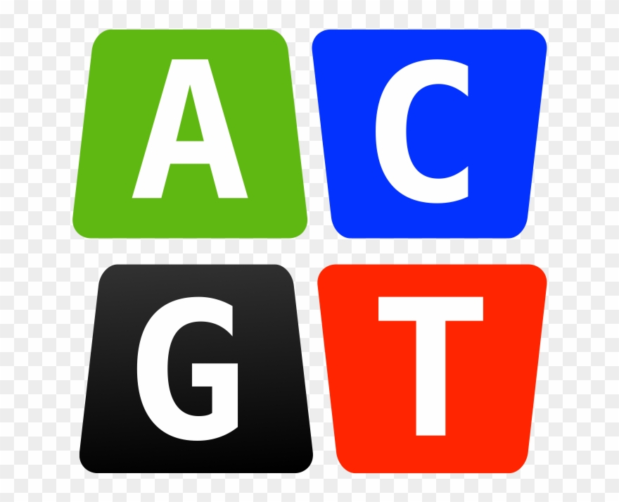 Slides Clip Art - Png Download