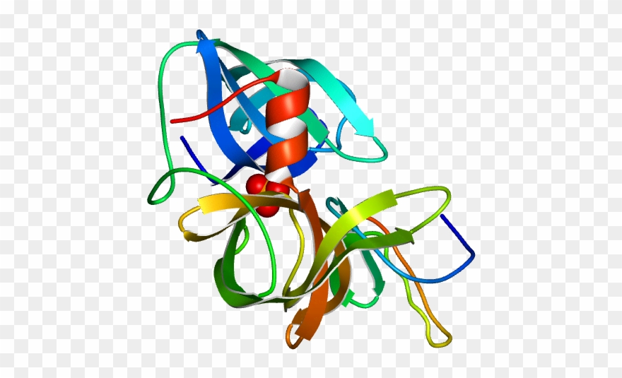 No Rotation Molmil Generated Image Of 2sgf - Illustration Clipart