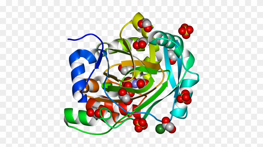 No Rotation Molmil Generated Image Of 5pki - Illustration Clipart