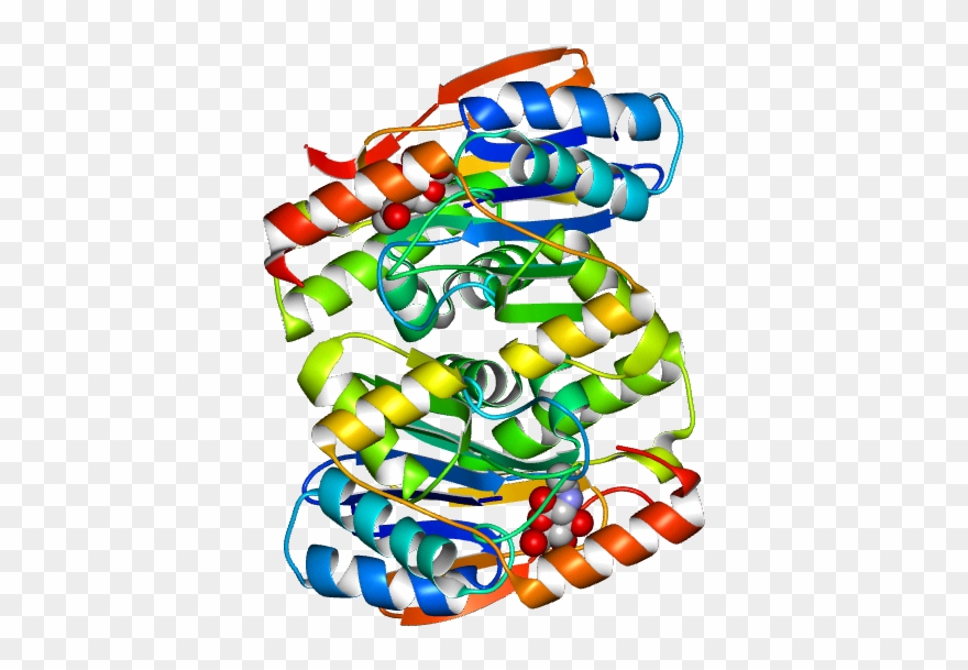 No Rotation Molmil Generated Image Of 2gl9 - Illustration Clipart