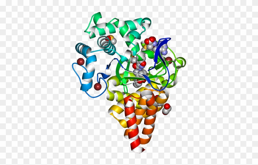 Illustration Clipart