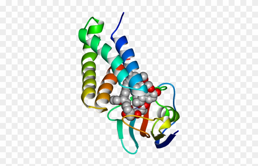 No Rotation Molmil Generated Image Of 2fap Clipart