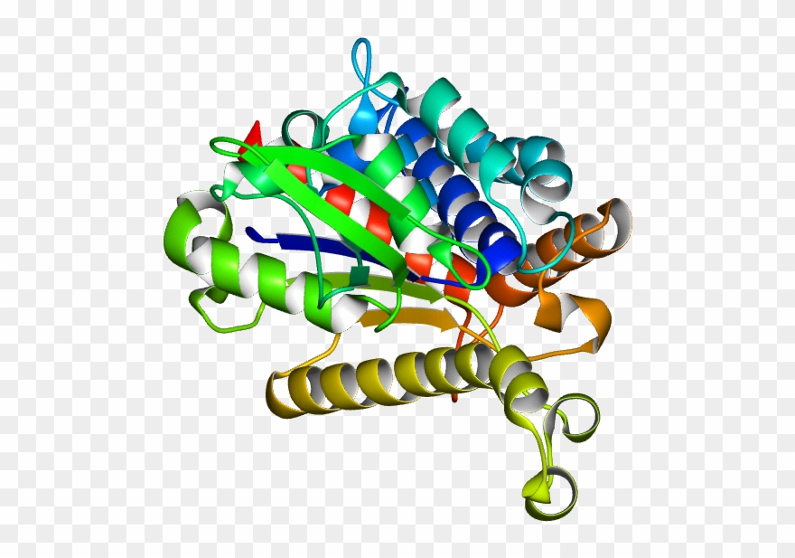 No Rotation Molmil Generated Image Of 4pka Clipart