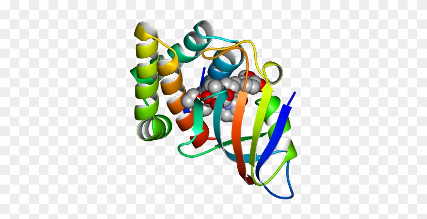 Molmil Generated Image Of 2fap - Graphic Design Clipart