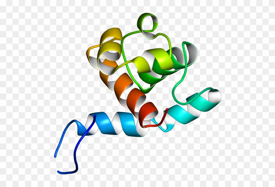 No Rotation Molmil Generated Image Of 2kmd - Graphic Design Clipart