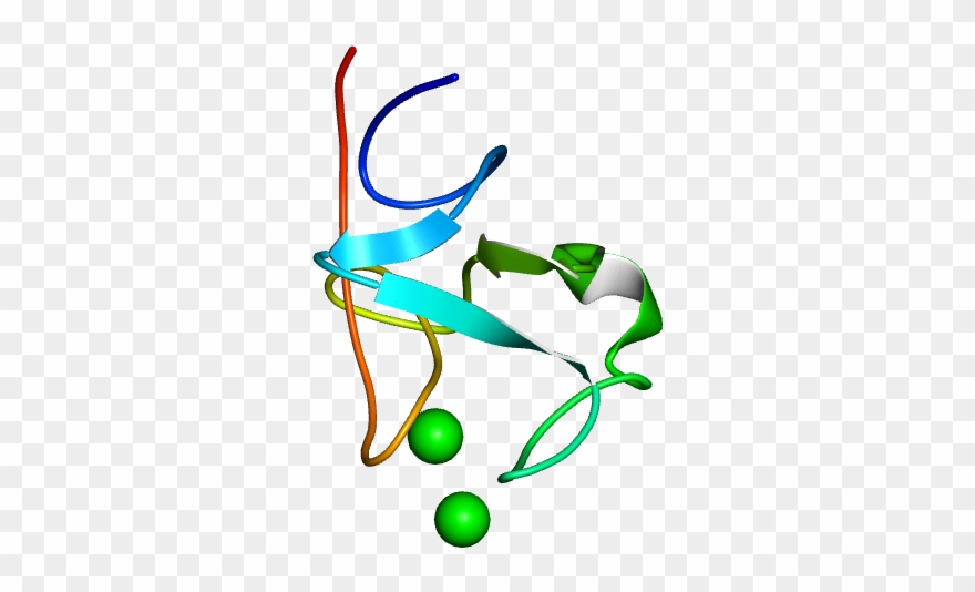 No Rotation Molmil Generated Image Of 1pkr - Graphic Design Clipart