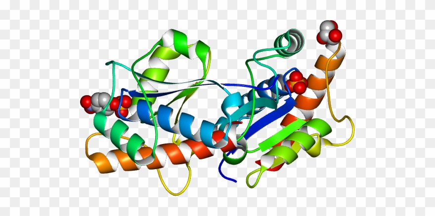 Molmil Generated Image Of 1d1q - Illustration Clipart