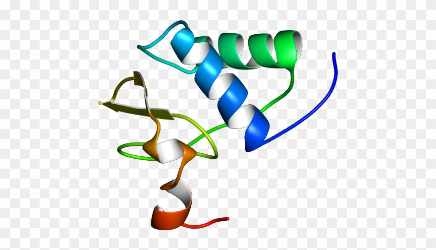 Molmil Generated Image Of 1avv - Graphic Design Clipart