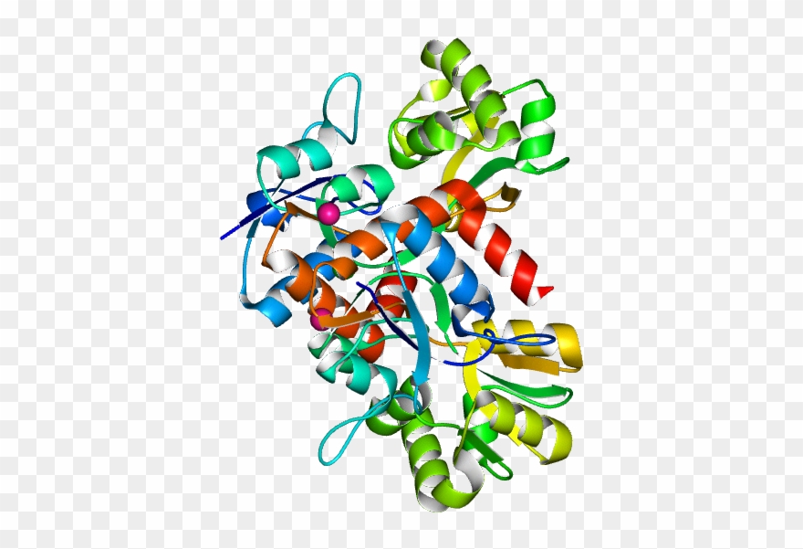 No Rotation Molmil Generated Image Of 2xxu - Graphic Design Clipart