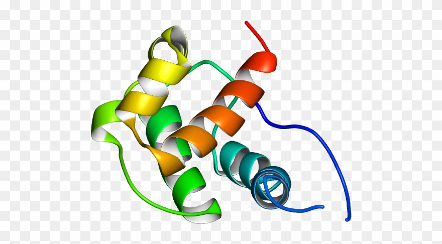 Illustration Clipart