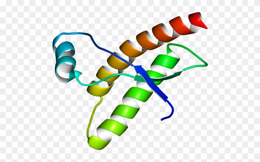 Molmil Generated Image Of 1qlx - Illustration Clipart