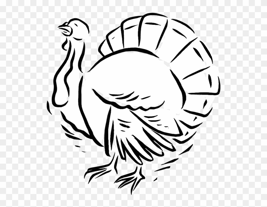 Turkey Coloring Page - Turkey Clipart