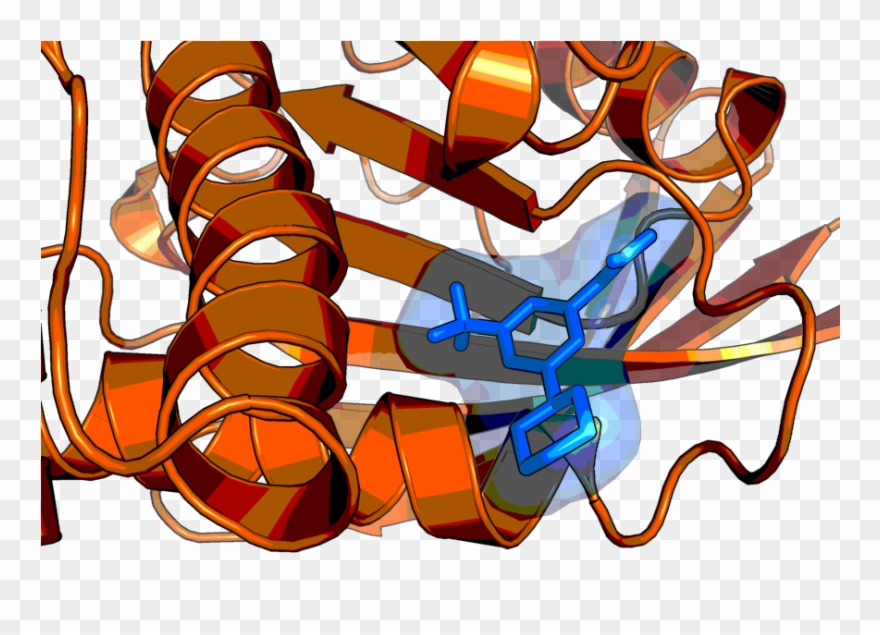 Step Structure And Allosteric Binding Site With Bound - Graphic Design Clipart