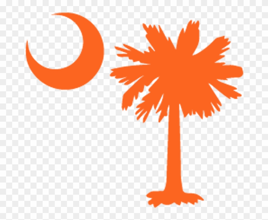 Welcome To Tri County Transportation - South Carolina Palmetto Tree Clipart