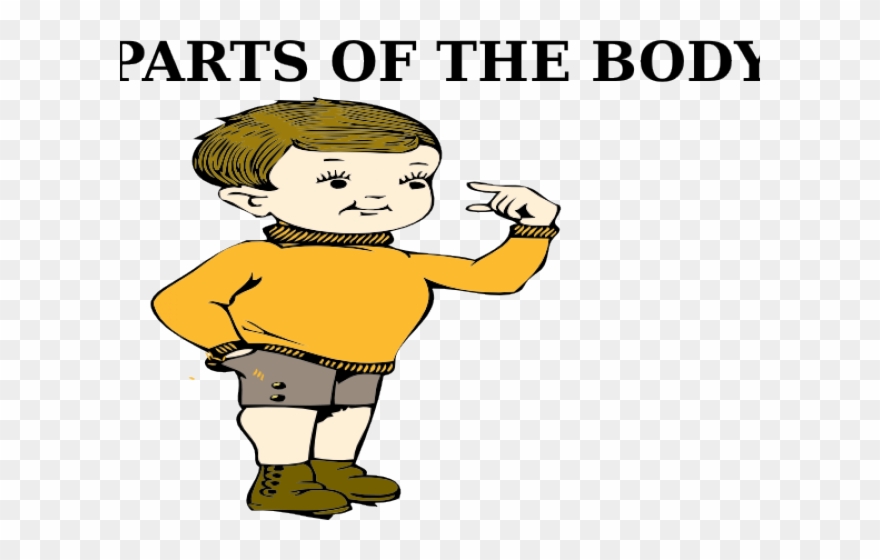 Body Clipart My Body - Parts Of The Body Clip Art - Png Download