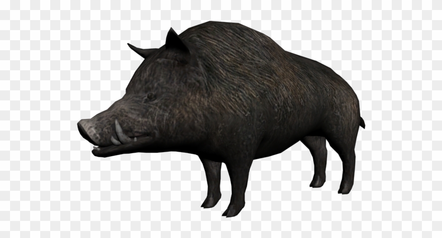 Wilbur The Boar - Gordo The Boar Red Dead Redemption Clipart