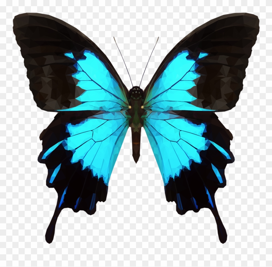 Avatar - Butterfly Png Clipart