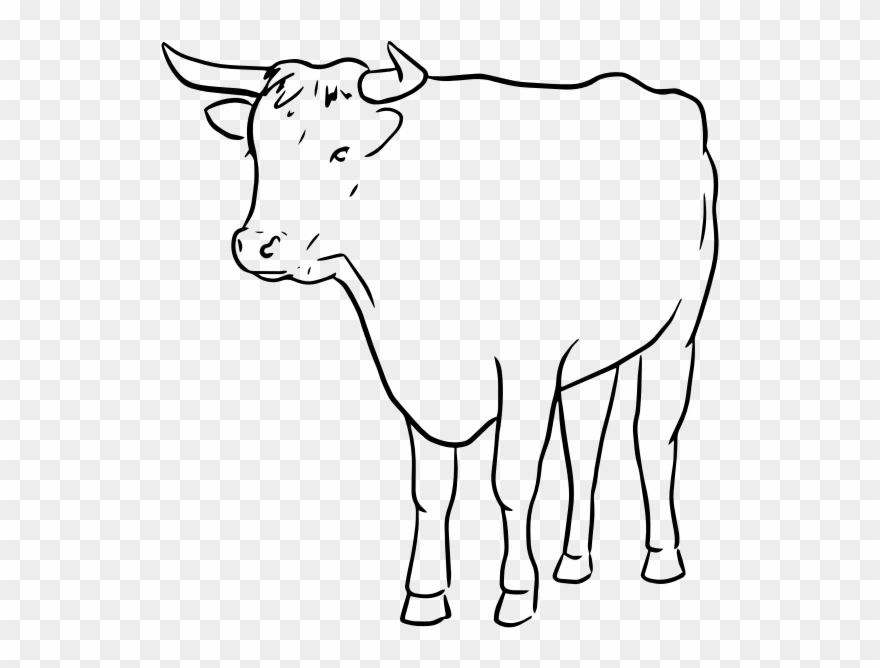 Medium Image - Bull Line Art Clipart