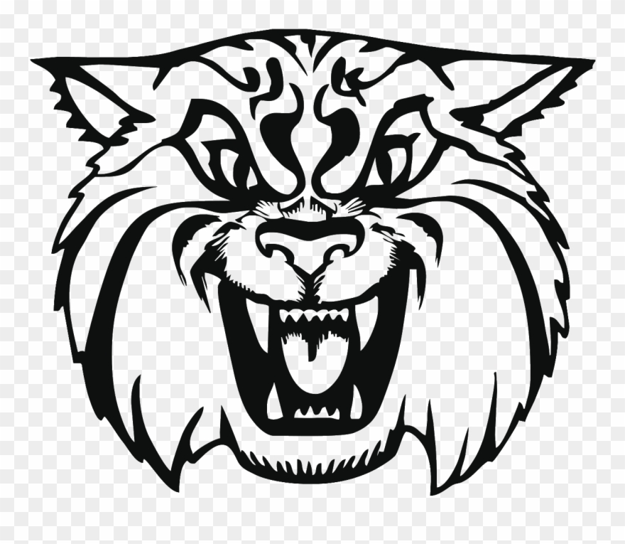 Gwes - Wildcat Clipart - Png Download