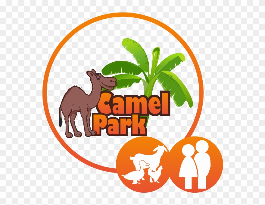 Visit The Farm - Camel Park Clipart