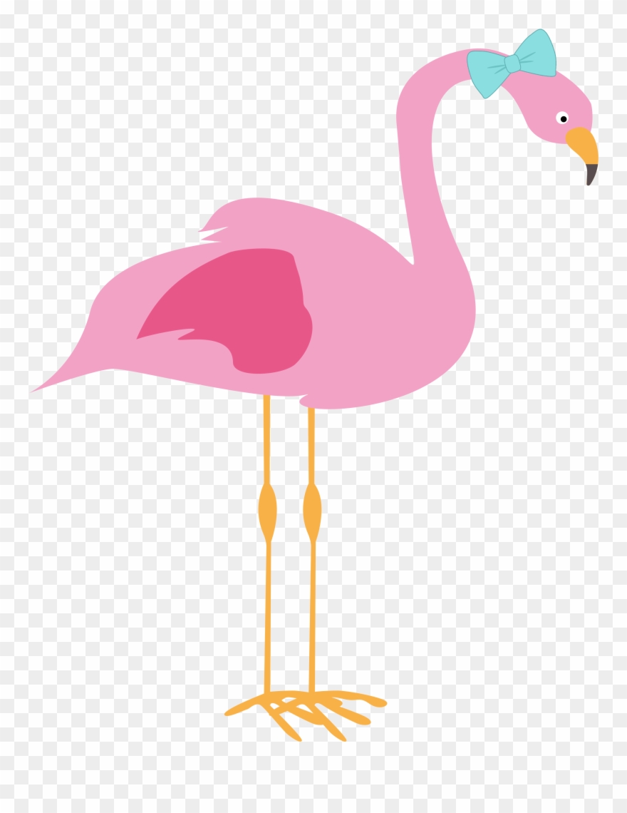 Reading Comprehension Practice - Water Bird Clipart