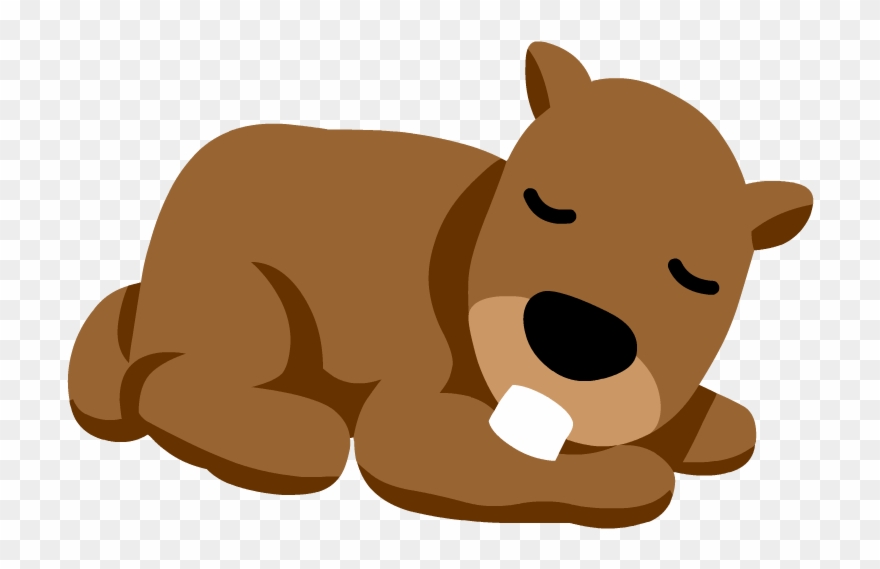 Hibernation Clipart