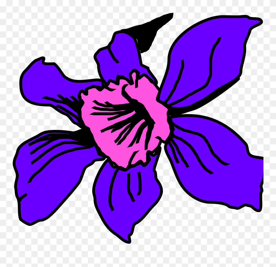 Colombia Orchids Computer Icons Flowering Plant - Orquidea De Colombia Clipart