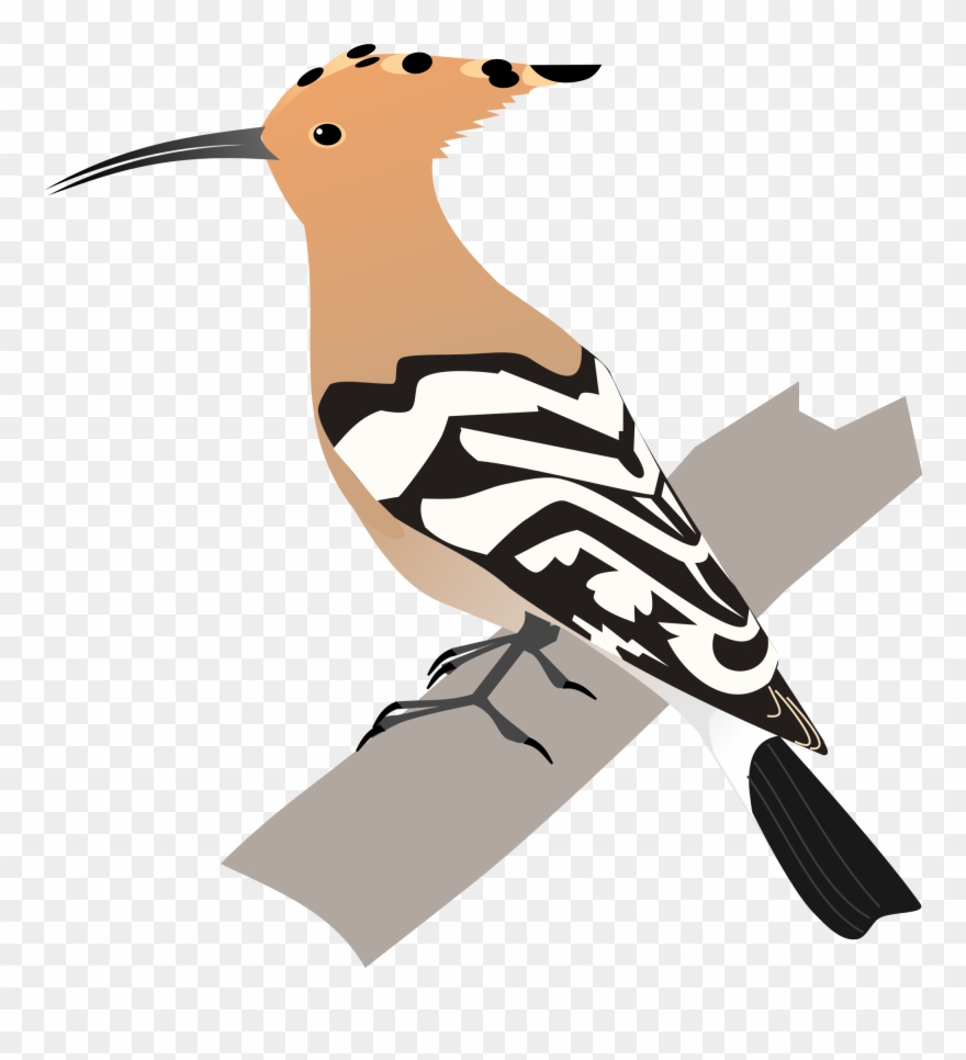 2000px-common Hoopoe - Svg - Hoopoe Bird Animated Clipart