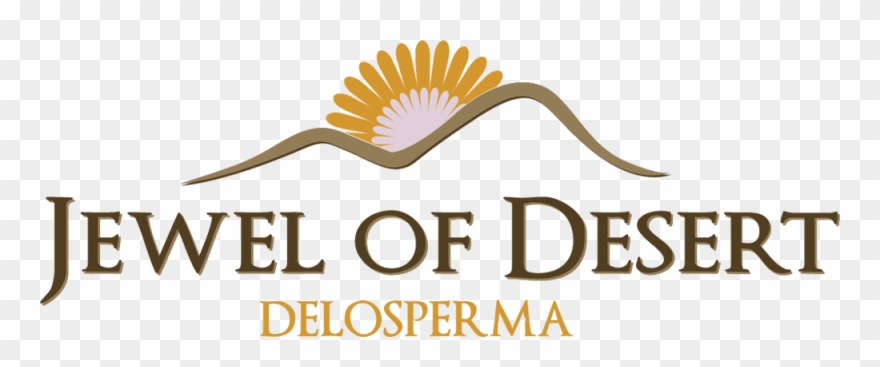 Delosperma Jewel Of Desert Grenade Eu - Osf Saint Francis Medical Center Logo Clipart