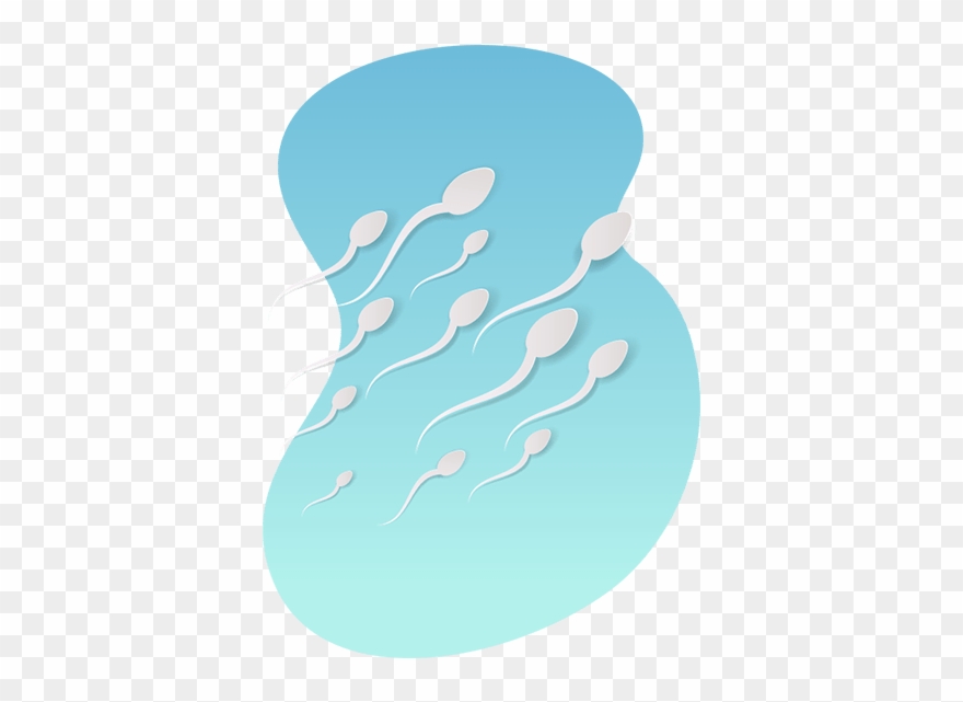 Illustration Clipart