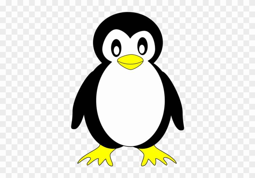 All Photo Png Clipart - Penguin Transparent Png