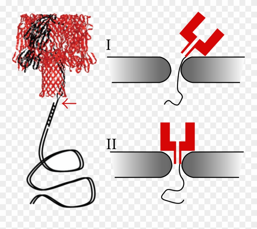 Jpeg Clipart