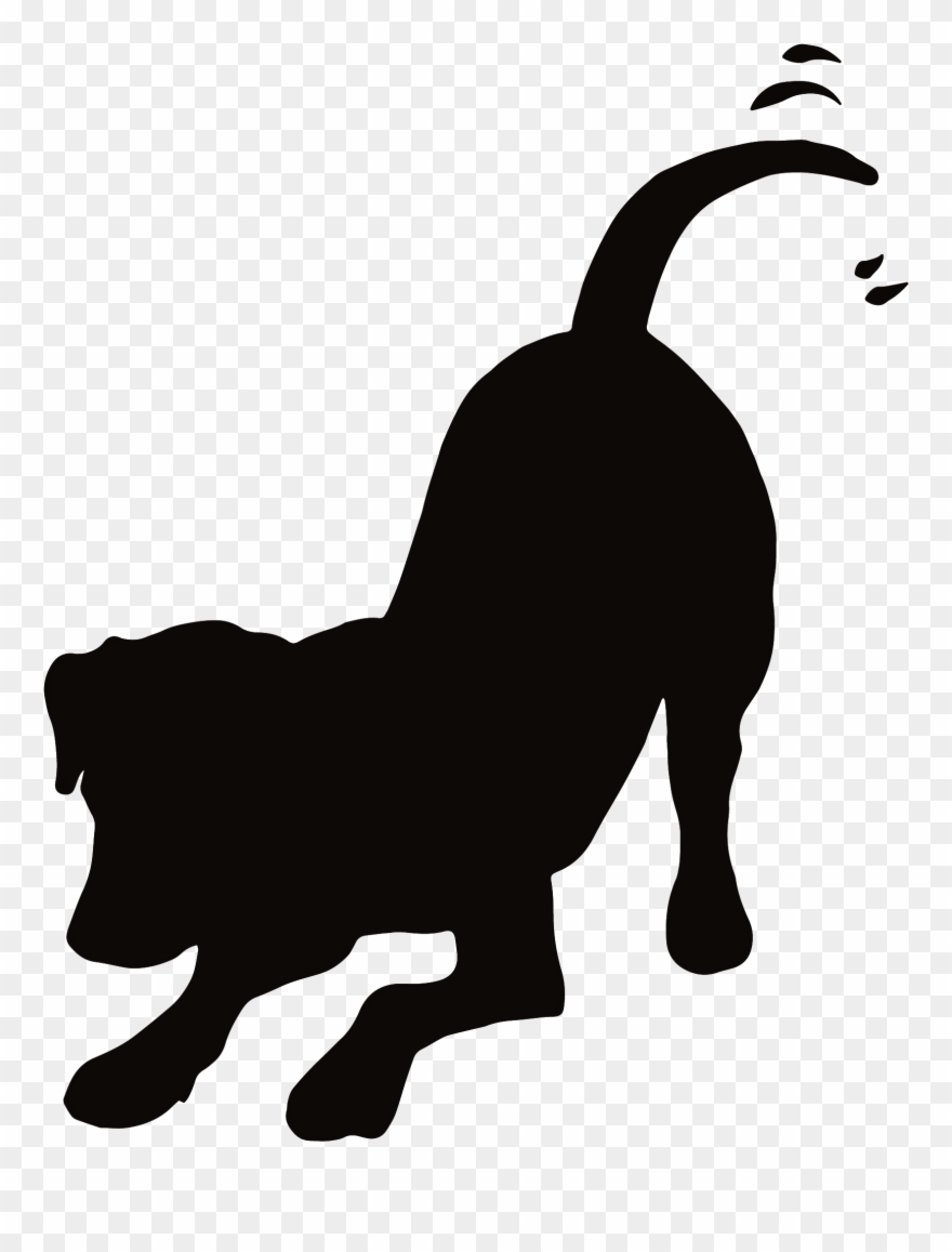 Pin Pet Tips On Dog Cat Clip Art Pet Graphics Pinterest - Dog Playing Silhouette - Png Download
