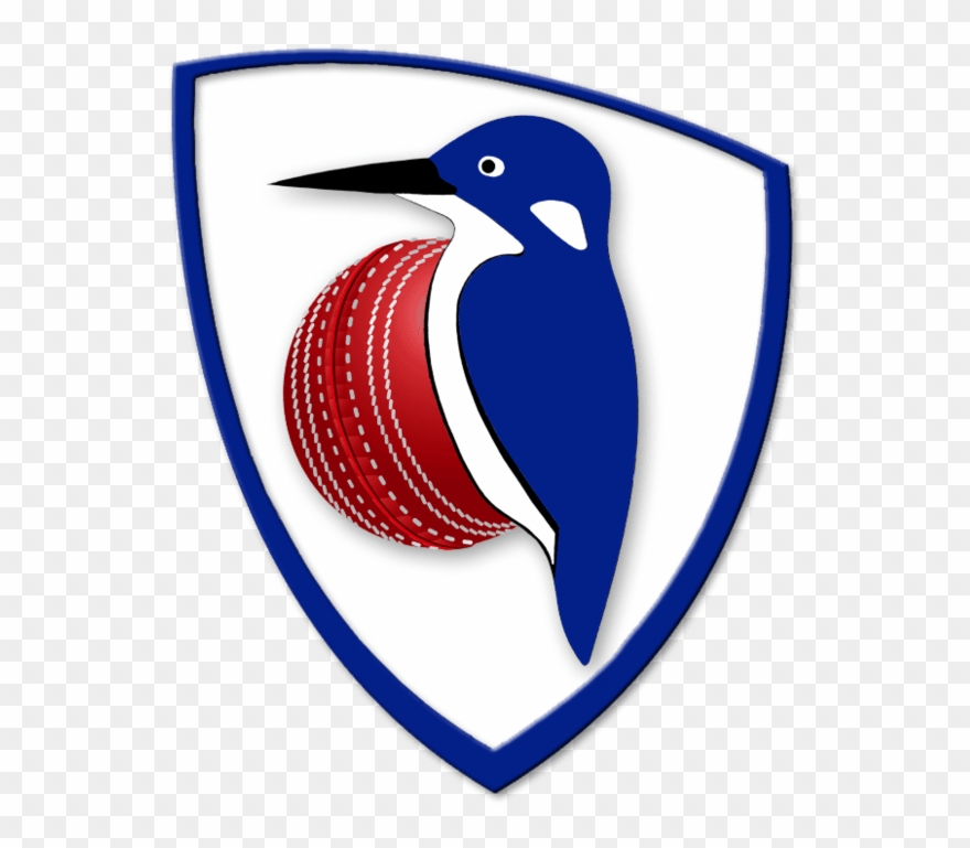 Cricket Clipart Cricket Coach - Cricket - Png Download