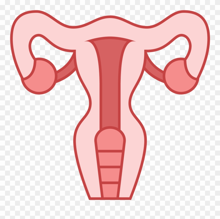 This Icon Represents The Uterus Of A Female Human - Uterus Png Clipart