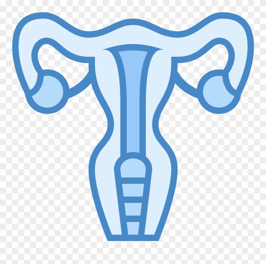 This Icon Represents The Uterus Of A Female Human - Icon Utero Clipart