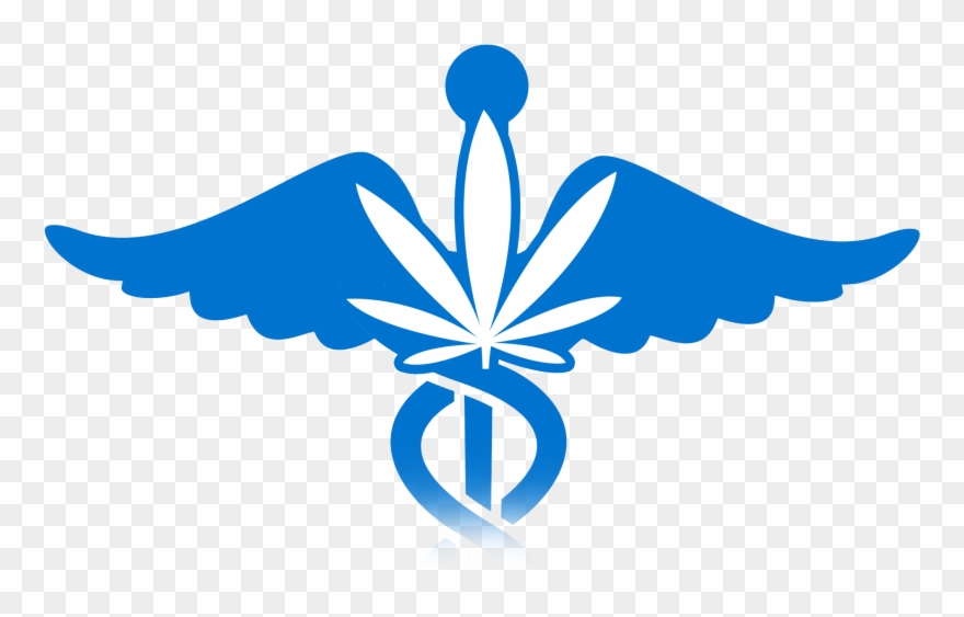 Medicinal Clipart Nursing Symbol - Physician - Png Download