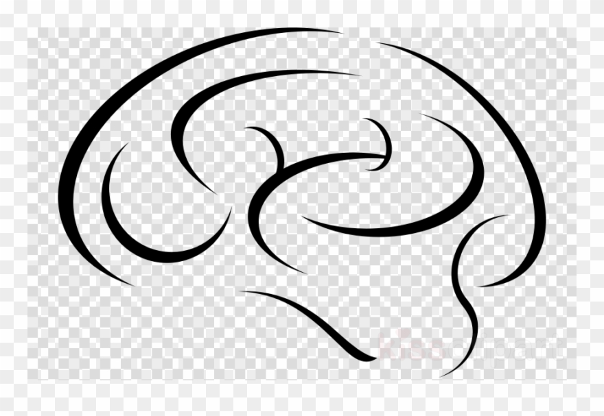 Brain Sketch Clipart Human Brain - Drawing - Png Download