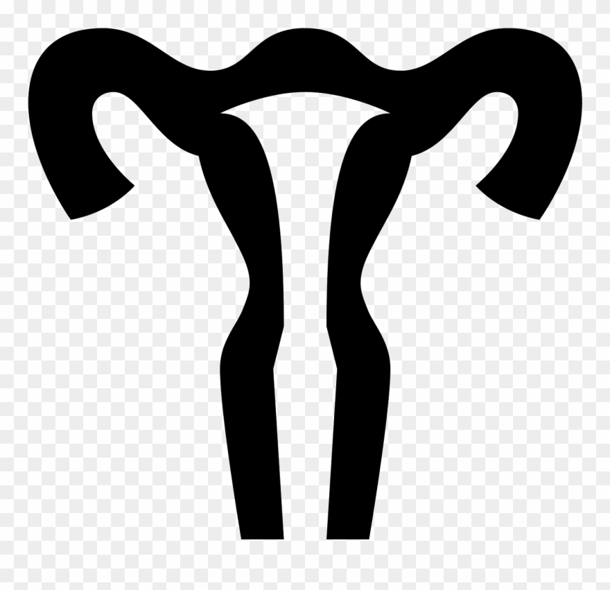 This Icon Represents The Uterus Of A Female Human - Uterus Clipart