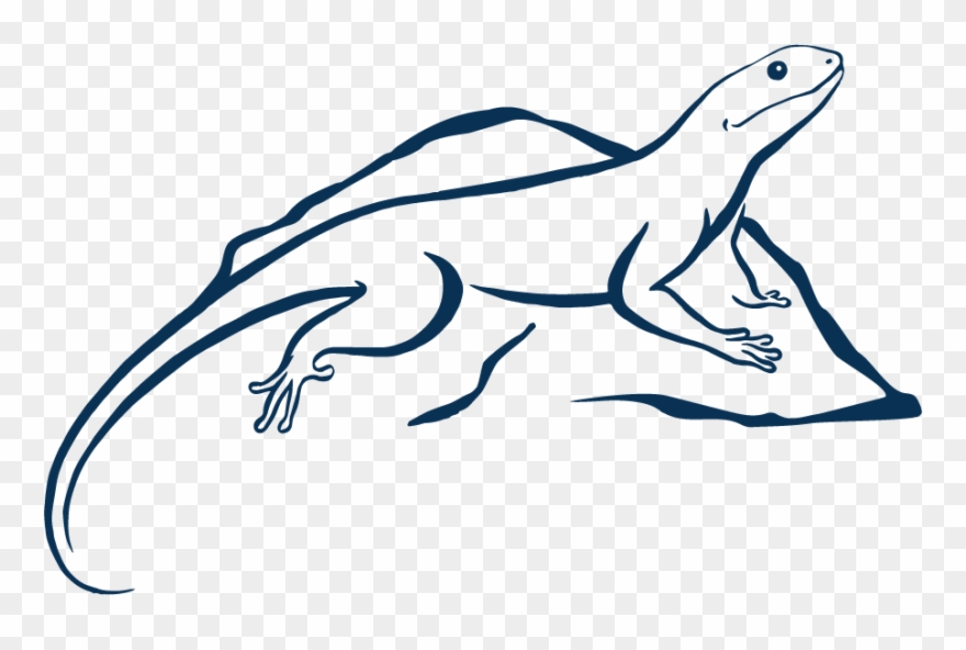 Lizard - Portable Network Graphics Clipart