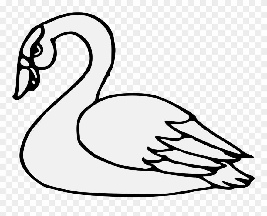Pdf - Duck Clipart