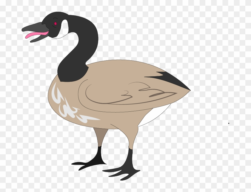 Canada Goose Illustrated For A North By Northwestern Clipart