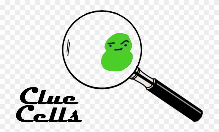 We Explain What A Clue Cell Is In A Vaginal Swab - Transparent Magnifying Glass Clipart - Png Download