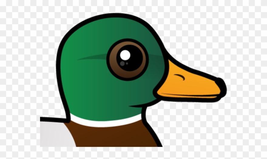 Mallard Clipart Eend - Mallard Birdorable - Png Download