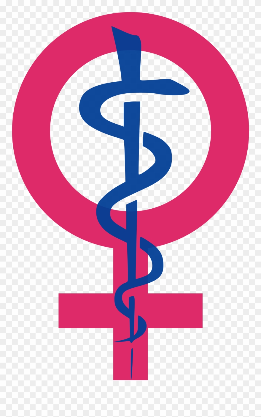 Women's Health Icon - Women's Health Symbol Clipart